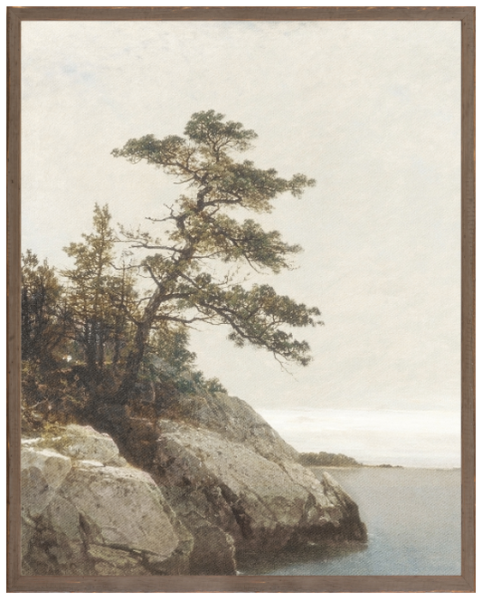 Northern Collection - The Old Pine c. 1872