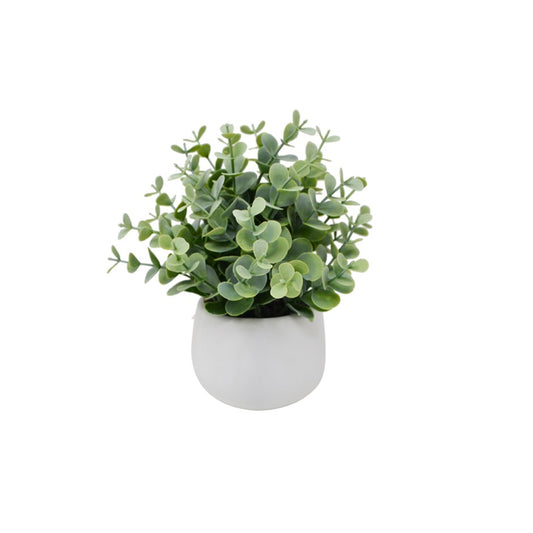 Eucalyptus White Pot