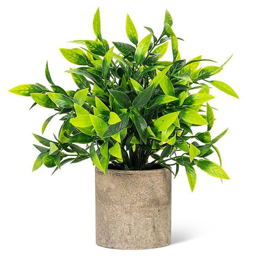 Wide Green Leaf Plant Pot