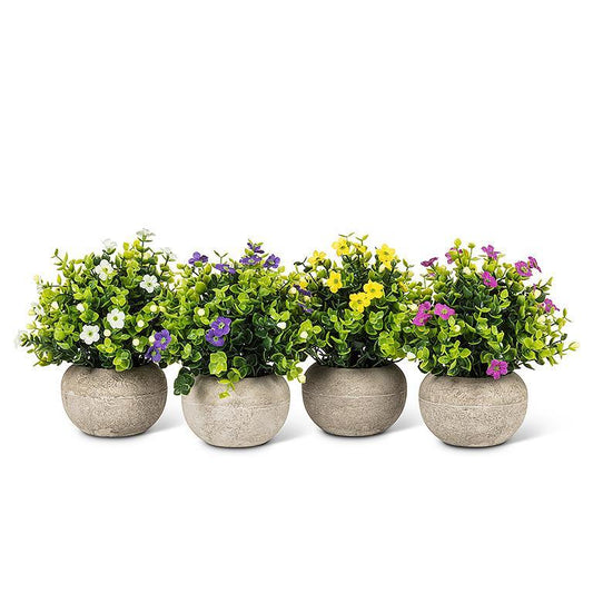 Petite Flowering Plant Pot