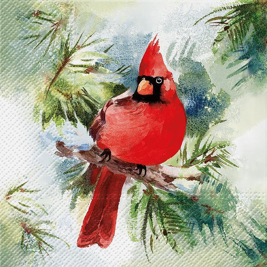 Winter Cardinal Napkins, 20pk.