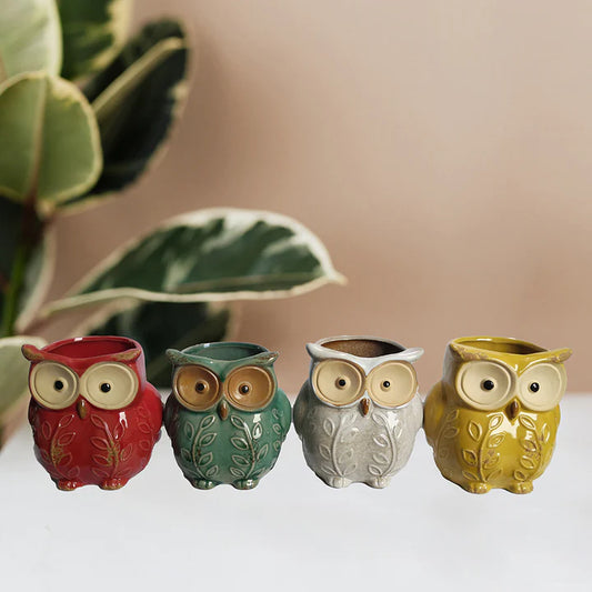 Colourful Owl Pot