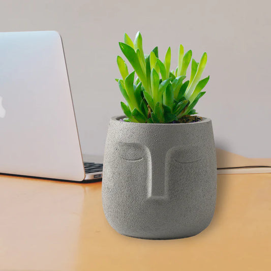 Gray Sleeping Head Planter