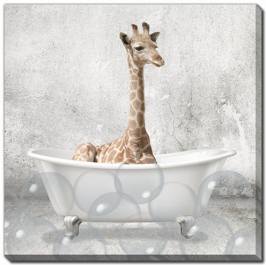 Baby Giraffe Bath Canvas Print