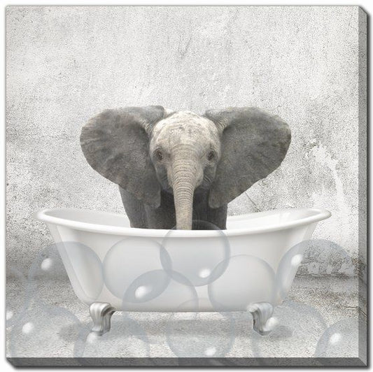 Baby Elephant Bath Canvas Print