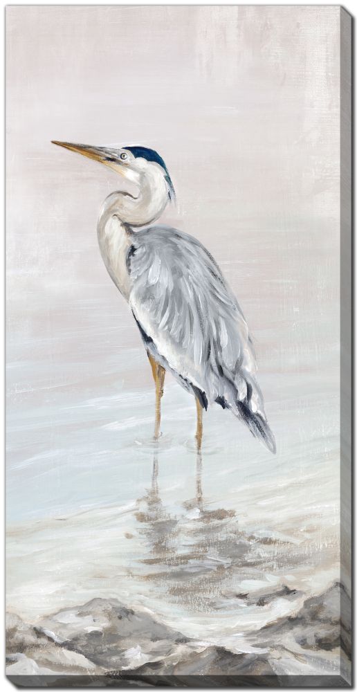 Heron Beauty Canvas Print