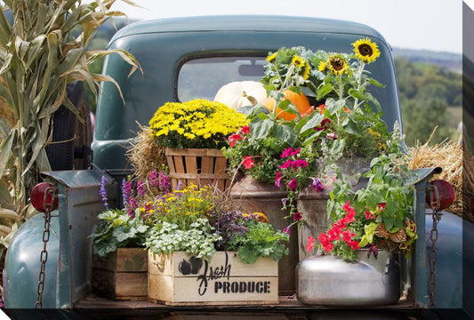 Vintage Truck with Flowers Canvas Print